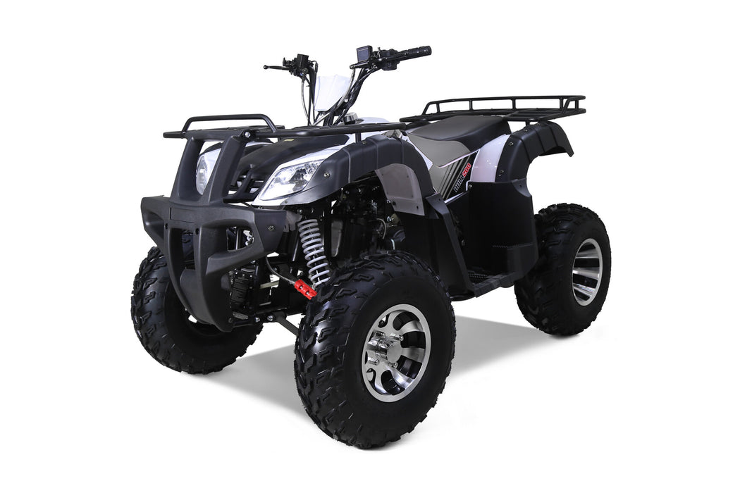 Tao Motor Bull200S TAO_Motors_Bull200_3Q_silve