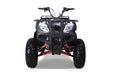 Tao Motor Bull200S TAO_Motors_Bull200_front_red