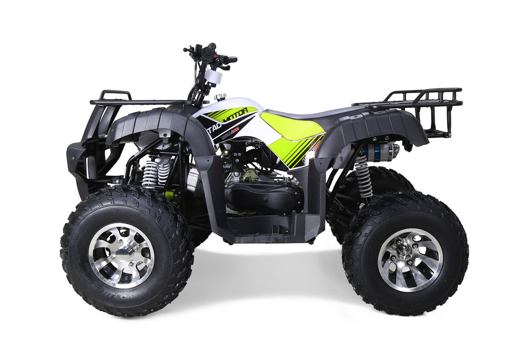 Tao Motor Bull200S TAO_Motors_Bull200_prfile_yellow