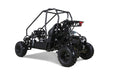 Tao Motor GK110 TAO_Motors_GK110_REAR_3Q_black