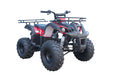 Tao Motor T125 TFORCEBurgundy