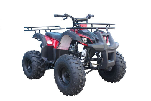 Tao Motor T125 TFORCEBurgundy