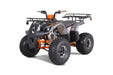 Tao Motor Tforce Platinum TFORCE_platinum_driverside_3Q_gray_orangejpg