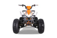 Tao Motor Cheetah Platinum TaoMotors_CHEETAH_Platinum_front_orange_white