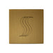 ThermaSol SteamVection Steamhead with Aromatherapy Well, 1/2" NPT - image 17