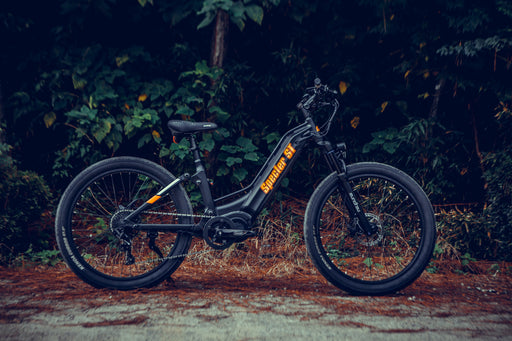 EUNORAU E-BIKE US SPECTER-ST 2.0 — handlebar and display