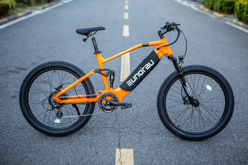 EUNORAU E-BIKE US DEFENDER — handlebar and display