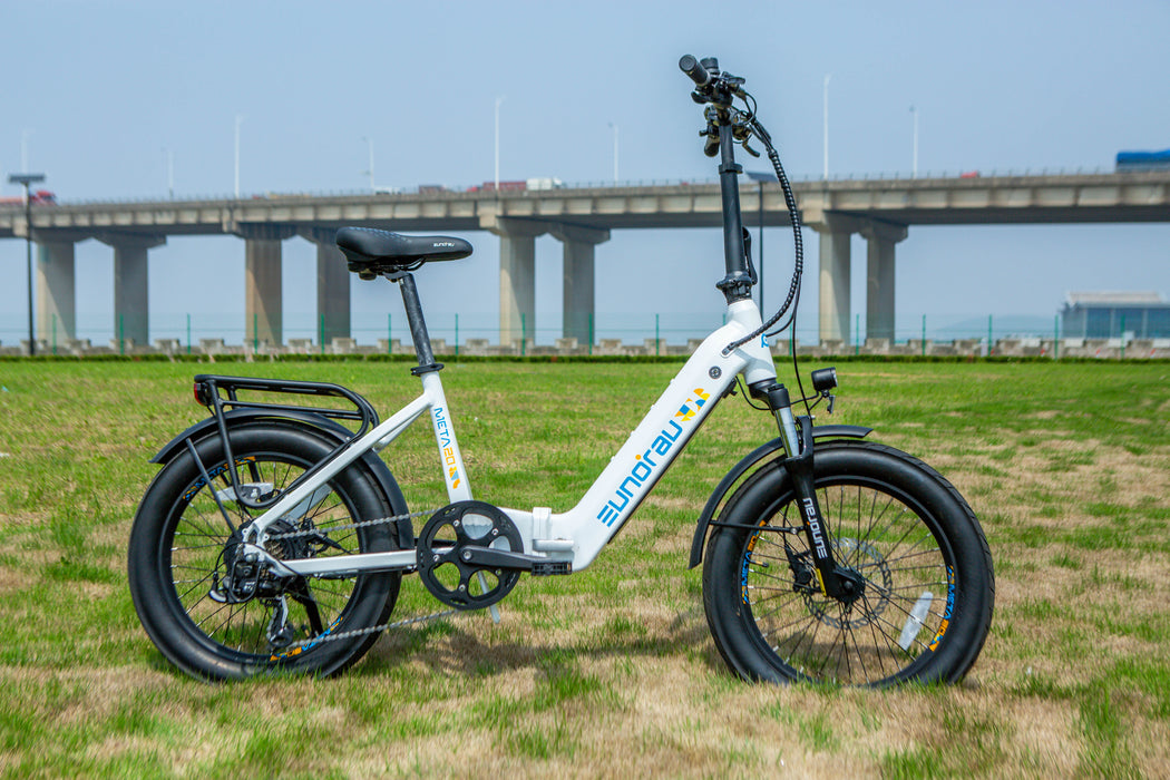 EUNORAU E-BIKE US META20 1.0 — handlebar and display