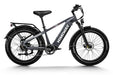 D5 (Zebra) / All-terrain Electric Fat Bike