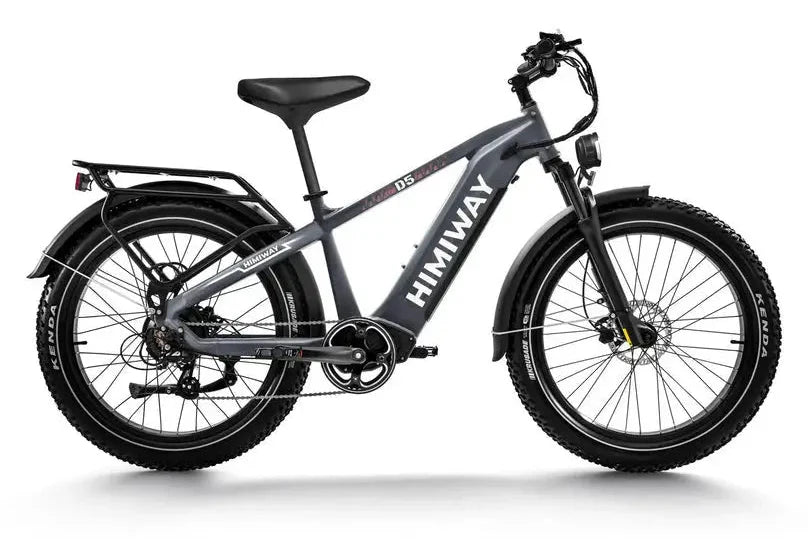 D5 (Zebra) / All-terrain Electric Fat Bike