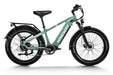 D5 (Zebra) / All-terrain Electric Fat Bike