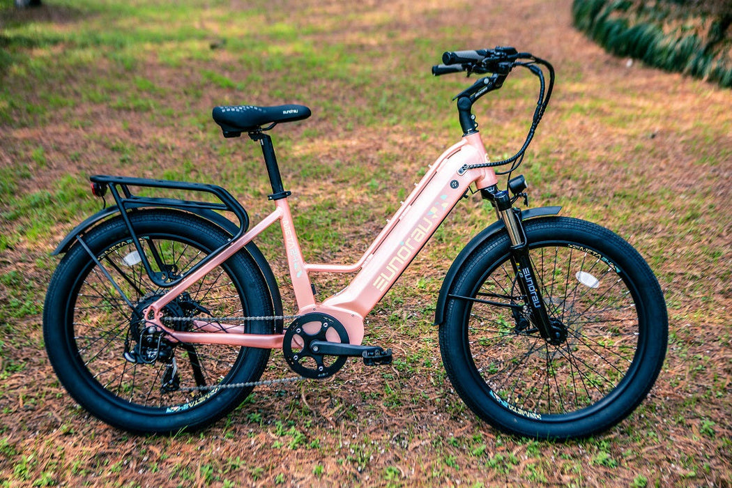 EUNORAU E-BIKE US META24 1.0 — handlebar and display