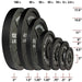 Body Solid 300Lb-500Lb Cast Olympic Plates Set - Osb 255 Lb. Iron Plate + 45Lb 7 Black Oly Bar Pair