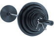 Body-Solid 455 Lbs. Cast Iron Olympic Weight Plates - Osb455