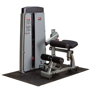 Body Solid Pro Dual Ab And Back Machine - Dabb-Sf Exercise Equipment