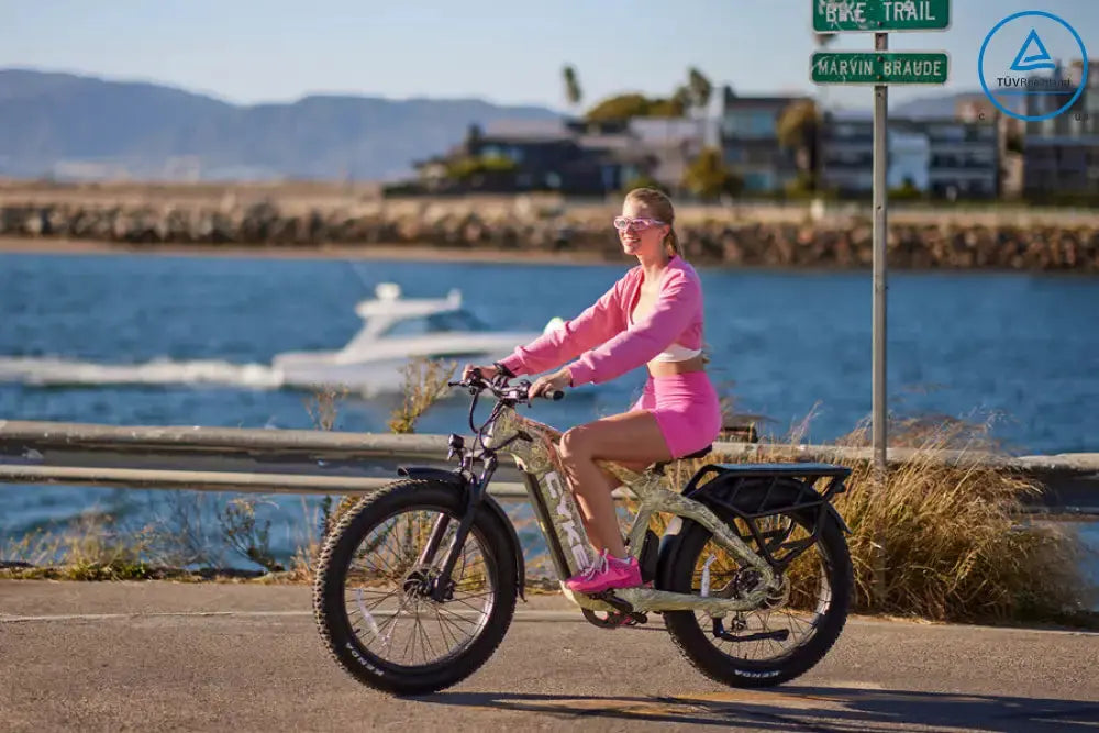 CHEETAH HUNTING | EBIKE