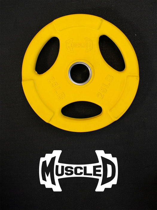 Muscle D Fitness RUBBER COATED COLORED OLYMPIC PLATES: Rubber Plates, per Pair - Muscle D Fitness - Wei... — additional view 9