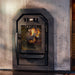 Cozy Heat SW Thru-Wall Sauna Stove Wood-Burning Sauna Stove - image 4