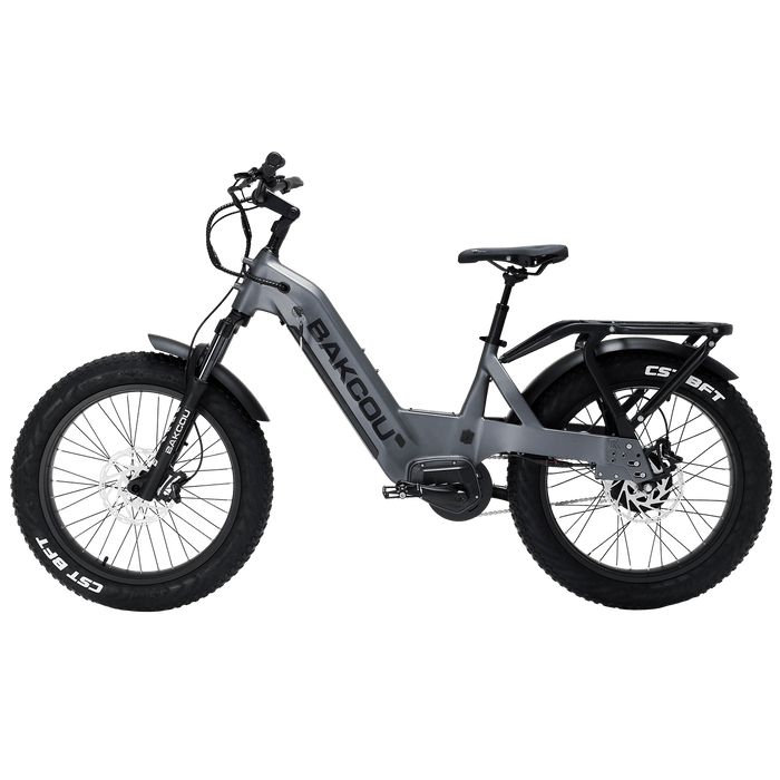 Bakcou Flatlander SD — handlebar and display
