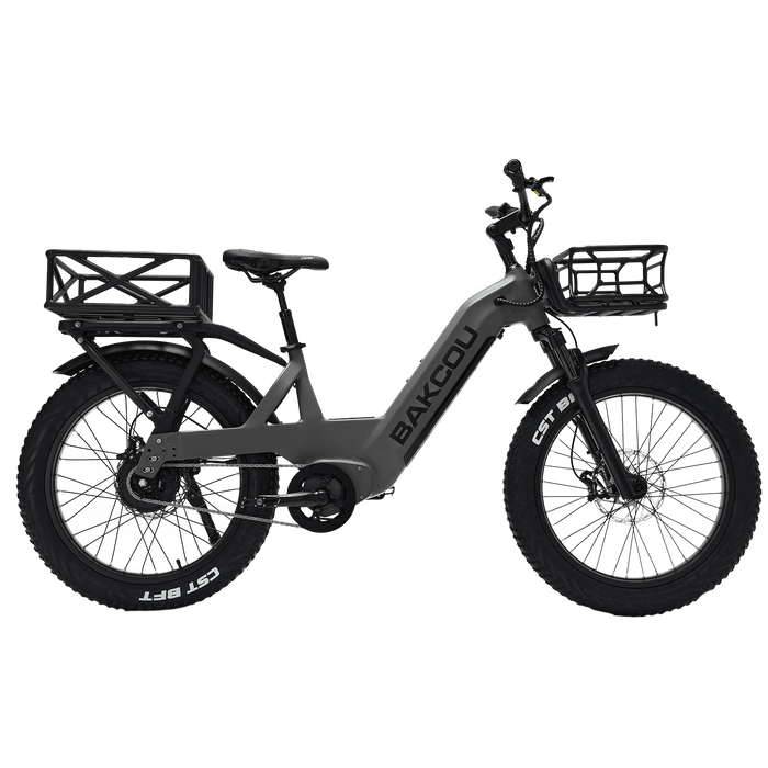 Bakcou Flatlander SD — full bike view