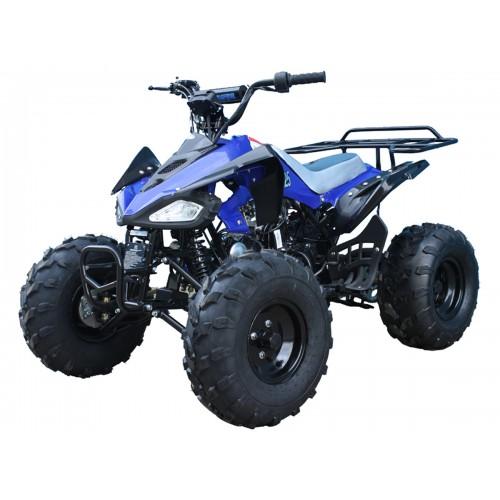 Tao Motor G125 g125-cheetah