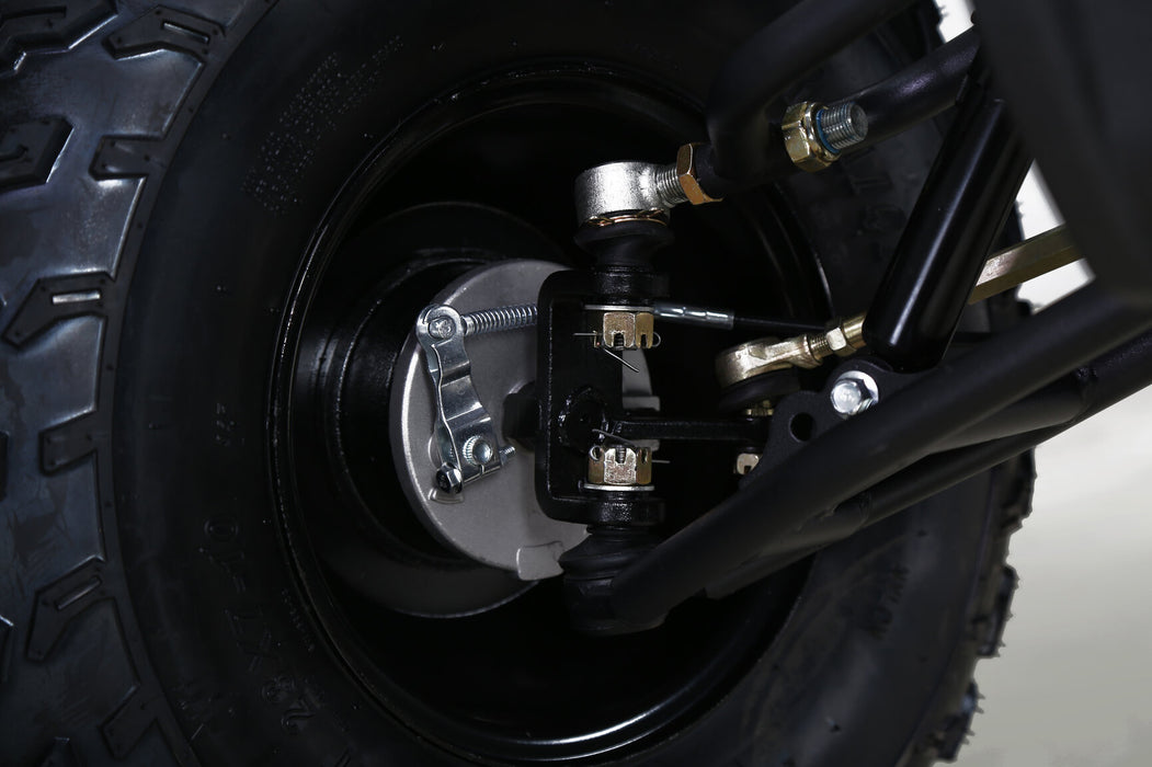 Tao Motor BULL150 img_7179