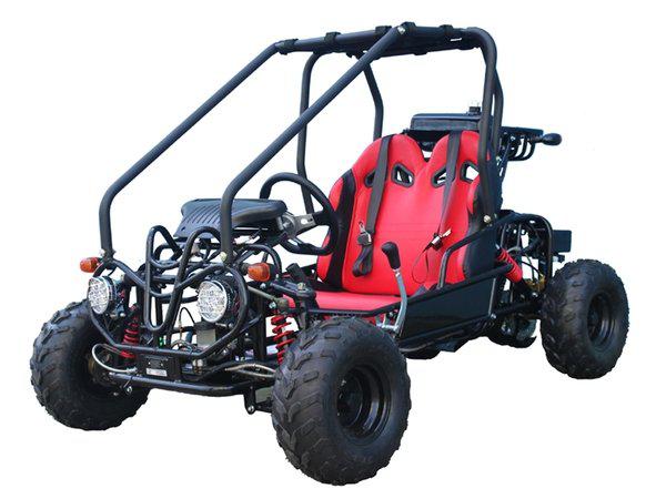 Tao Motor GK110 Youth Go Kart- ages 6 to 10, with reverse, high back seats, Electric Start, With Reverse