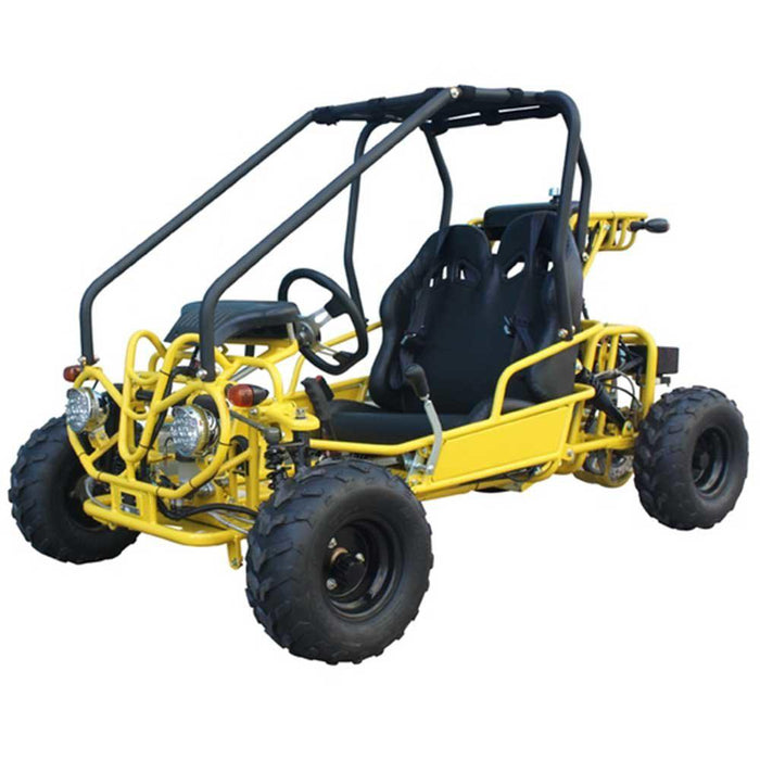 Tao Motor GK110 Youth Go Kart- ages 6 to 10, with reverse, high back seats, Electric Start, With Reverse