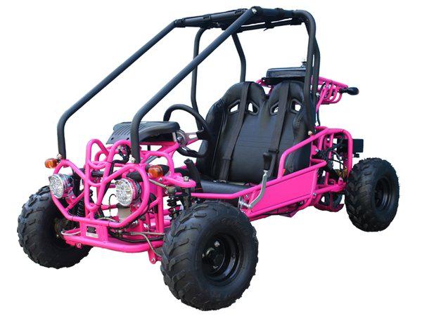 Tao Motor GK110 Youth Go Kart- ages 6 to 10, with reverse, high back seats, Electric Start, With Reverse
