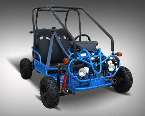 Tao Motor GK110 Youth Go Kart- ages 6 to 10, with reverse, high back seats, Electric Start, With Reverse