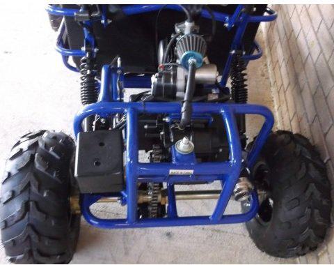 Tao Motor GK110 Youth Go Kart- ages 6 to 10, with reverse, high back seats, Electric Start, With Reverse