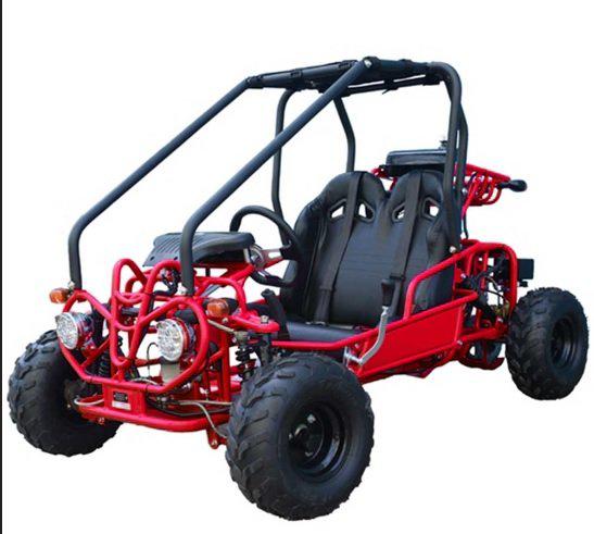 Tao Motor GK110 Youth Go Kart- ages 6 to 10, with reverse, high back seats, Electric Start, With Reverse
