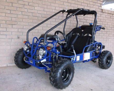 Tao Motor GK110 Youth Go Kart- ages 6 to 10, with reverse, high back seats, Electric Start, With Reverse