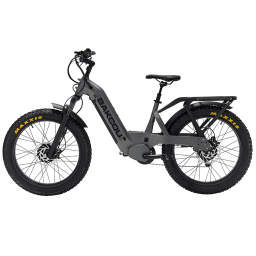 Bakcou Kodiak AWD SD — handlebar and display
