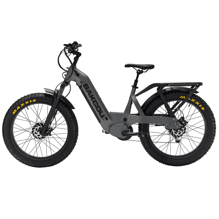 Bakcou Kodiak AWD SD — handlebar and display