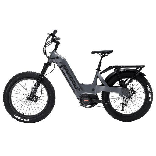 Bakcou Mule SD — handlebar and display
