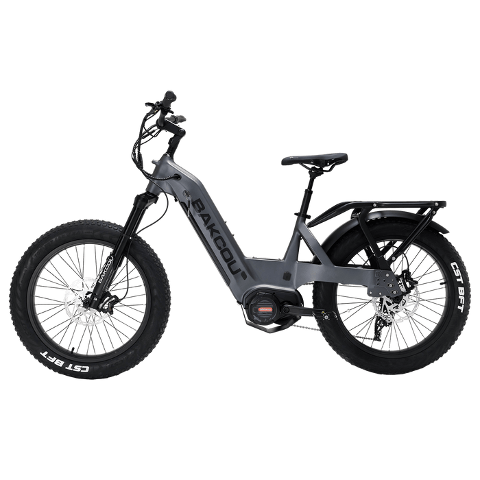 Bakcou Mule SD — handlebar and display