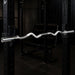 Body Solid 2-Inch Olympic Curl Bar OB47 angle view