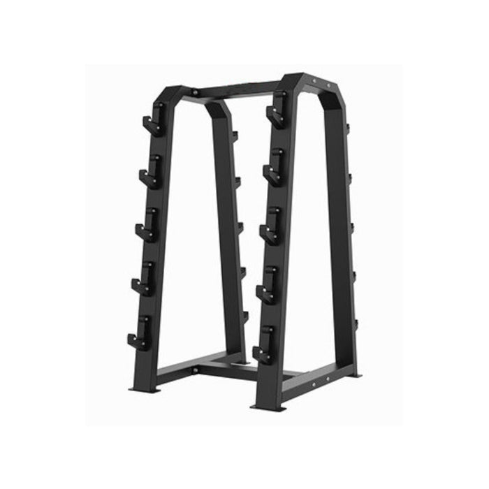 Paradigm PC-ST45 dual-sided barbell rack - main product view showing 10-bar dual-sided storage