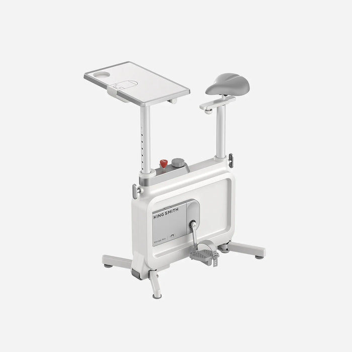 W1B 3 IN 1 Foldable Exercise Bike, Under Desk Bike