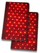 Therasage Thera360 upgrade to Plus red light panel kit