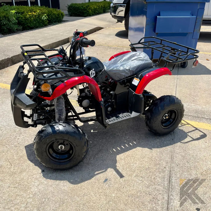 Tao Motor Spiker 110cc Kids ATV with Reverse