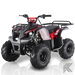 TaoMotor Spiker 110cc Kids ATV with Reverse Kryptex Golf Carts