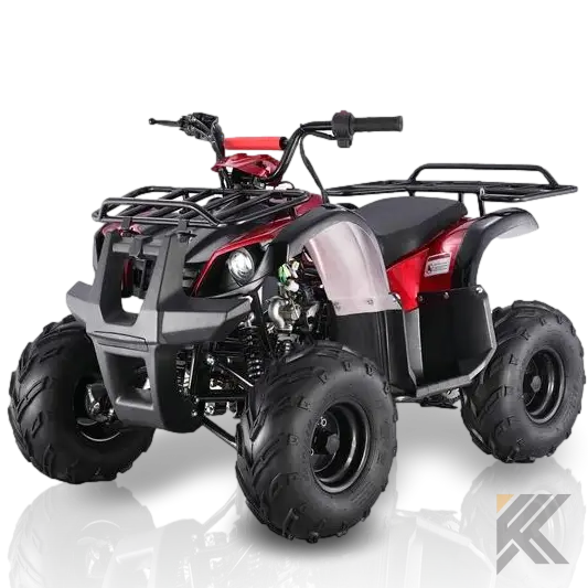 Tao Motor Spiker 110cc Kids ATV with Reverse