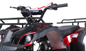 Tao Motor T125 tforce-family